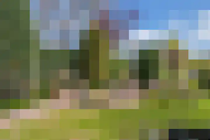 Middelgronden 52 Huizen thumbnail 37