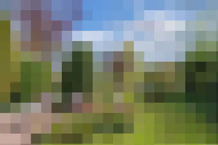 Middelgronden 52 Huizen thumbnail 38