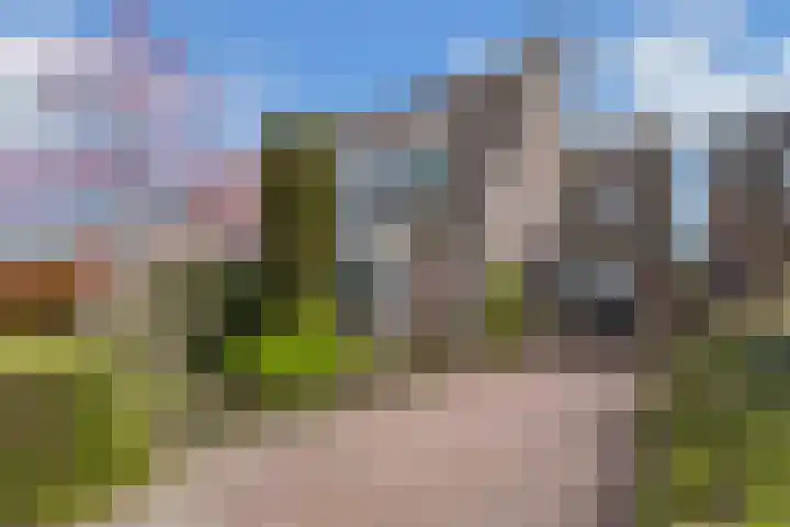 Middelgronden 52 Huizen thumbnail 4