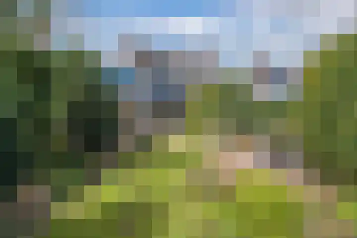 Middelgronden 52 Huizen thumbnail 40