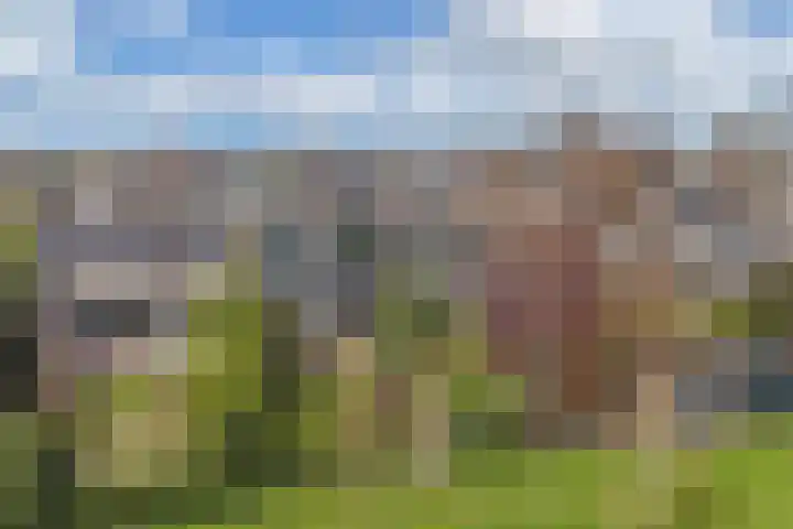 Middelgronden 52 Huizen thumbnail 42