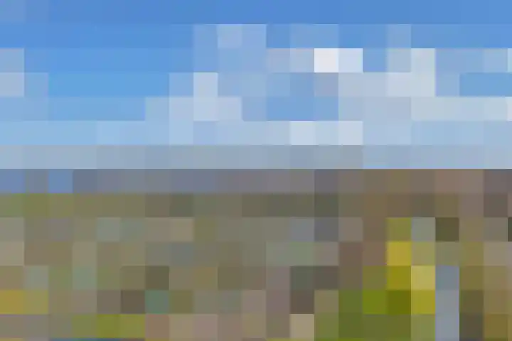 Middelgronden 52 Huizen thumbnail 44