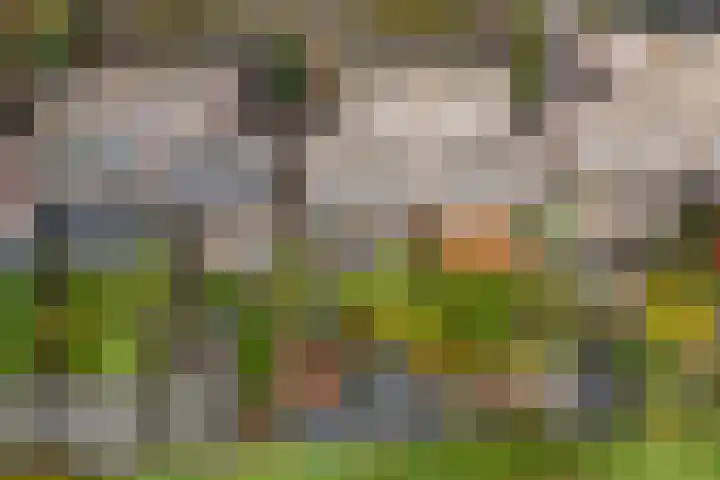 Middelgronden 64 Huizen thumbnail 16