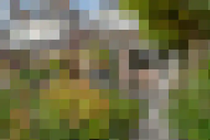 Middelgronden 64 Huizen thumbnail 18