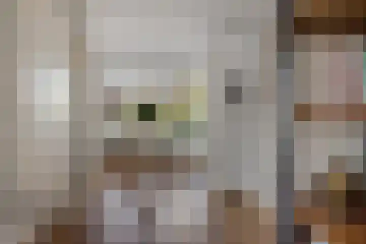 Middelgronden 64 Huizen thumbnail 22