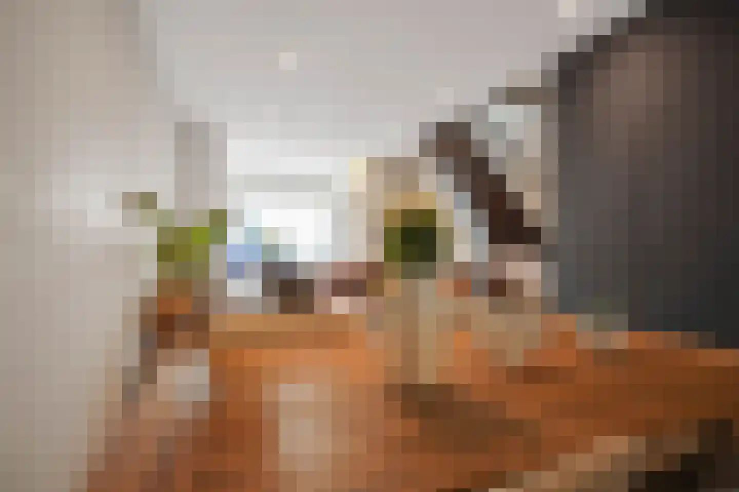 Middelharnissestraat 7 Schiedam thumbnail 11