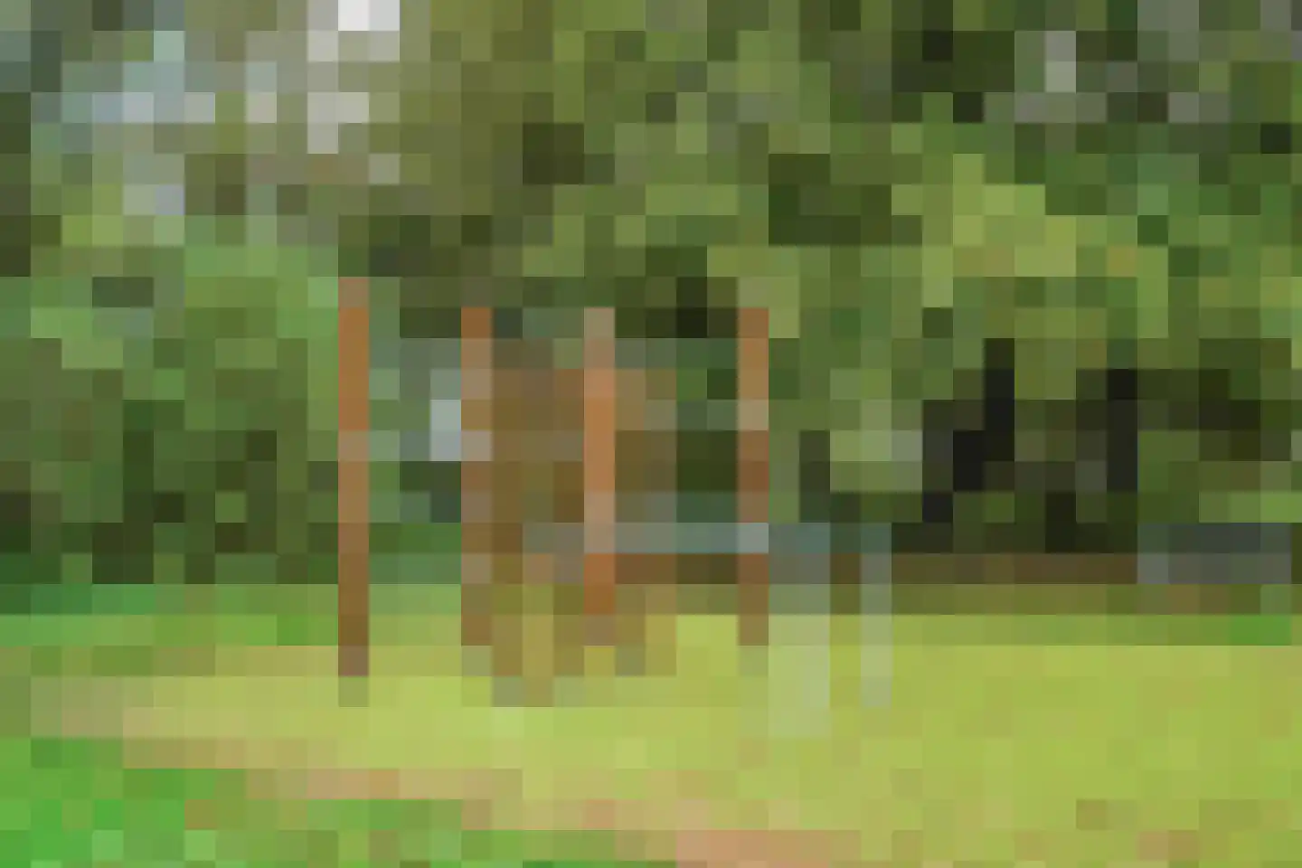 Middelharnissestraat 7 Schiedam thumbnail 33