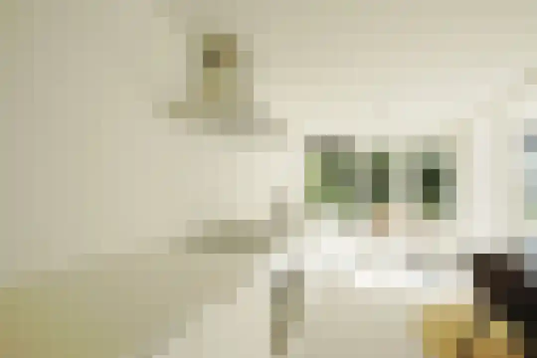 Middelharnisstraat 105 Rotterdam thumbnail 5