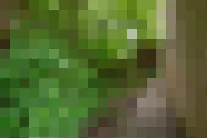 Middelharnisstraat 130 Rotterdam thumbnail 27
