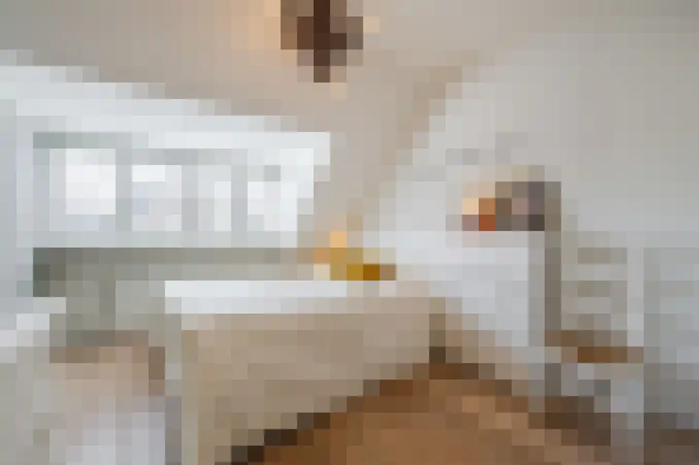 Middelhei 11 Veldhoven thumbnail 17