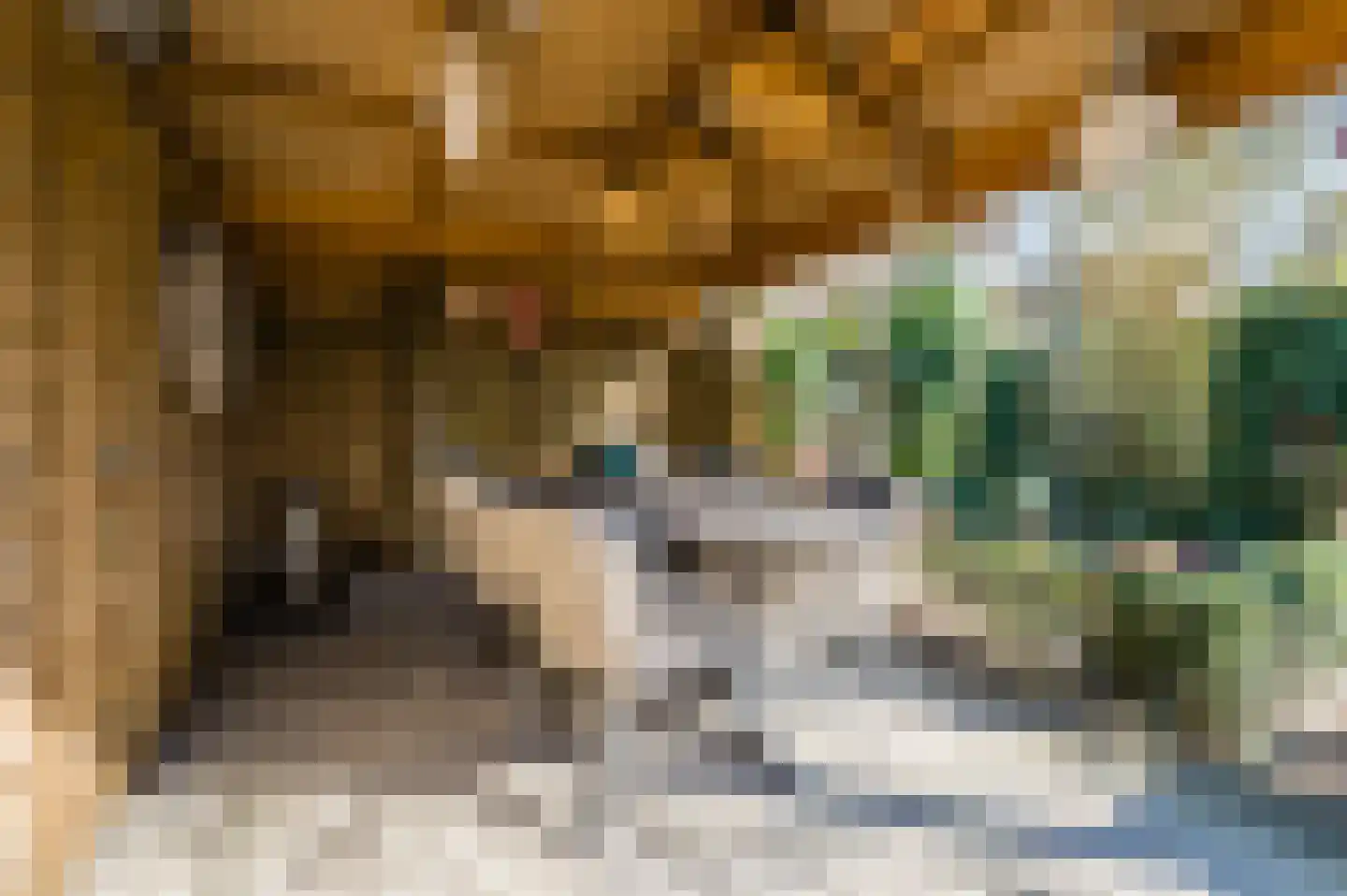 Middelhei 11 Veldhoven thumbnail 32
