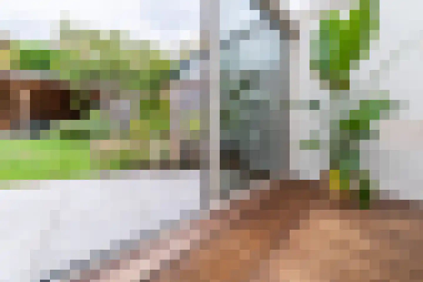 Middelhei 81 Veldhoven thumbnail 19