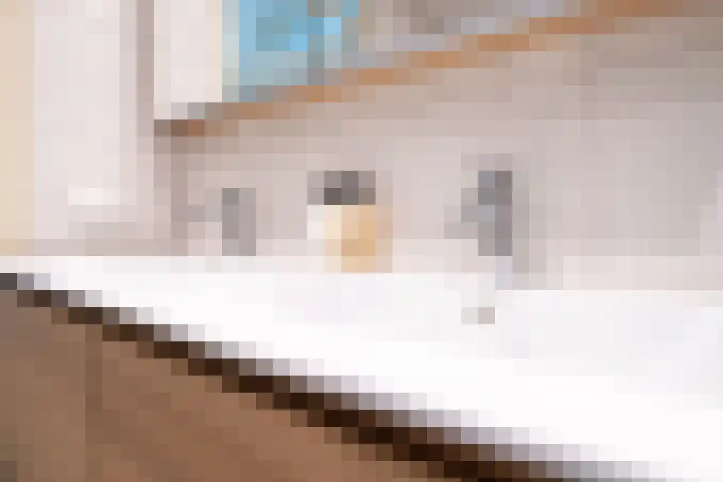 Middelhei 81 Veldhoven thumbnail 31