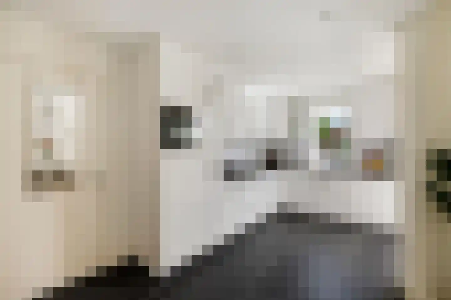 Middelhei 86 Veldhoven thumbnail 12