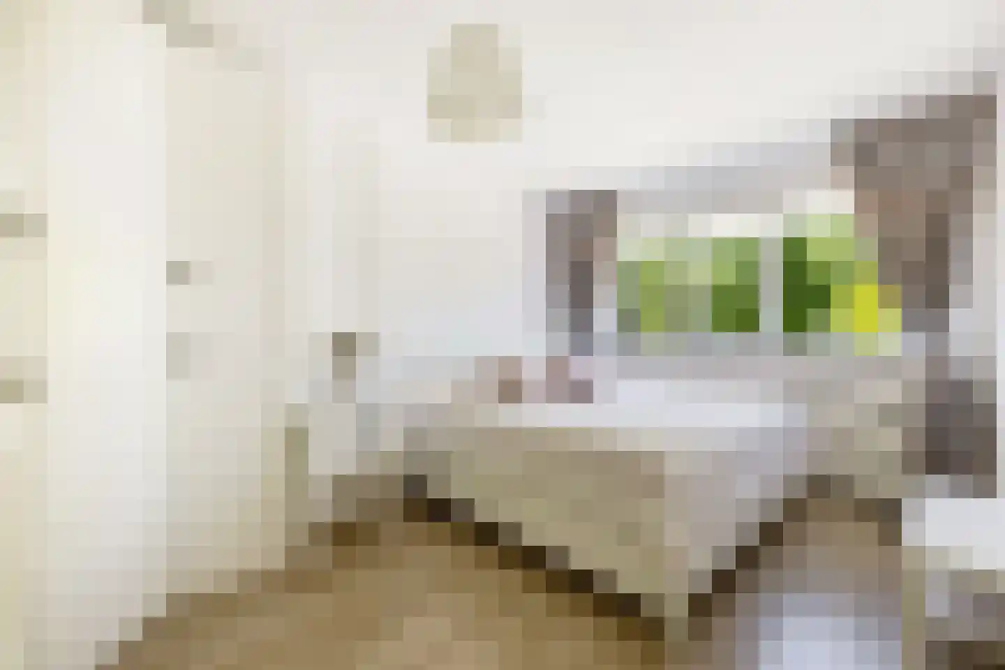Middelhei 86 Veldhoven thumbnail 16