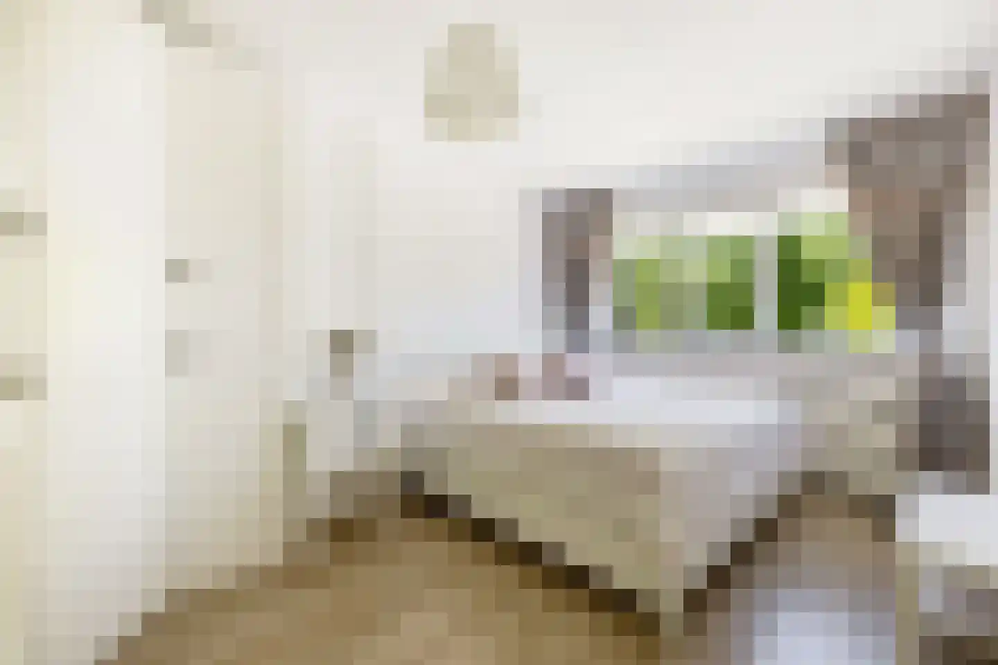 Middelhei 86 Veldhoven thumbnail 16