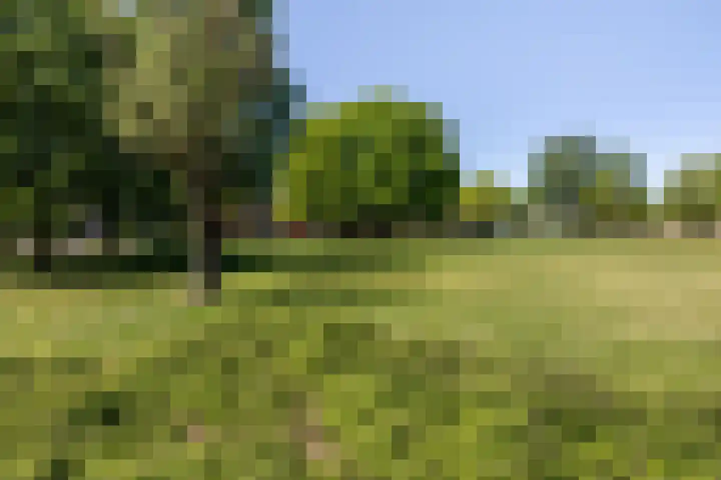Middelhei 86 Veldhoven thumbnail 47