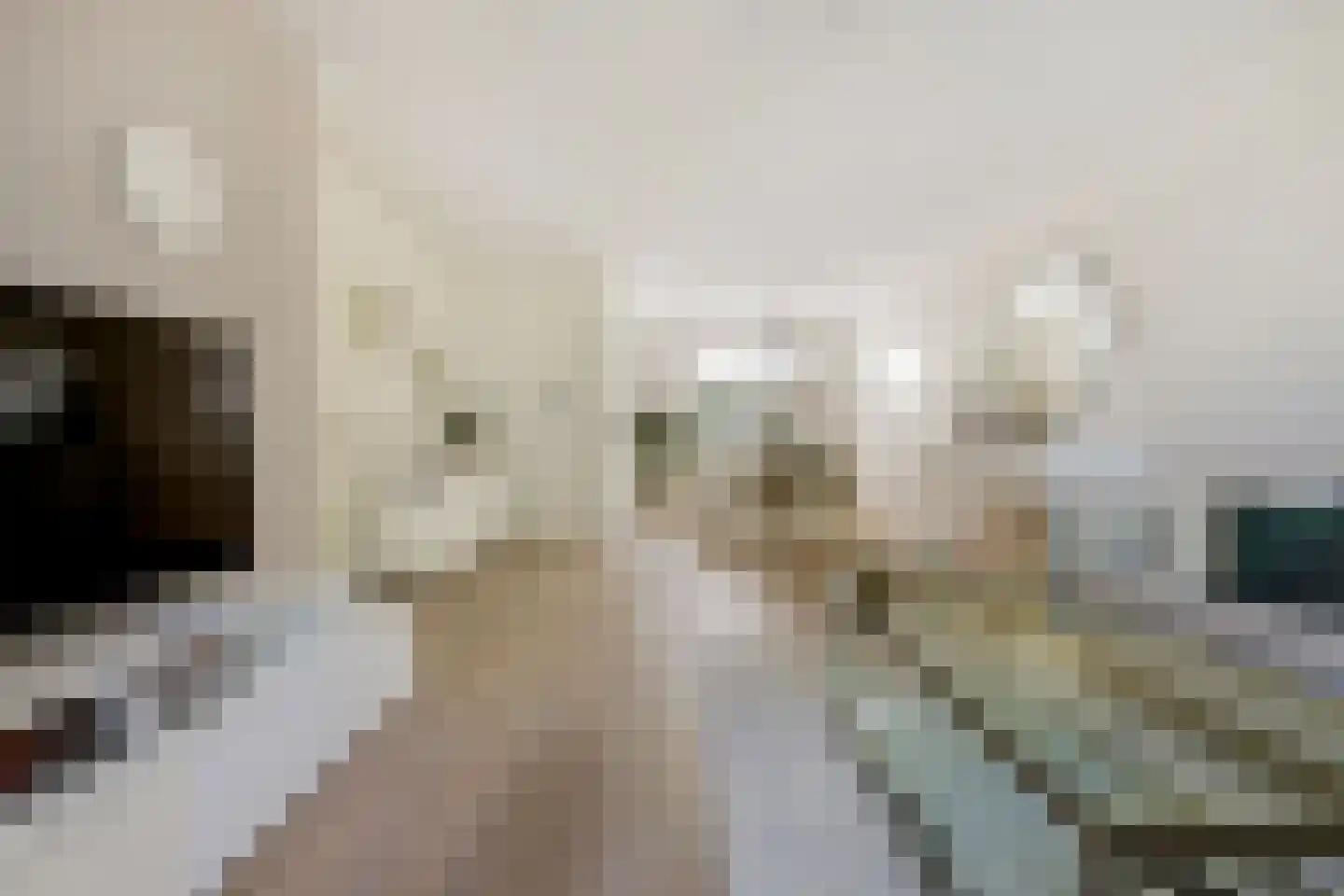 Middelhei 86 Veldhoven thumbnail 7