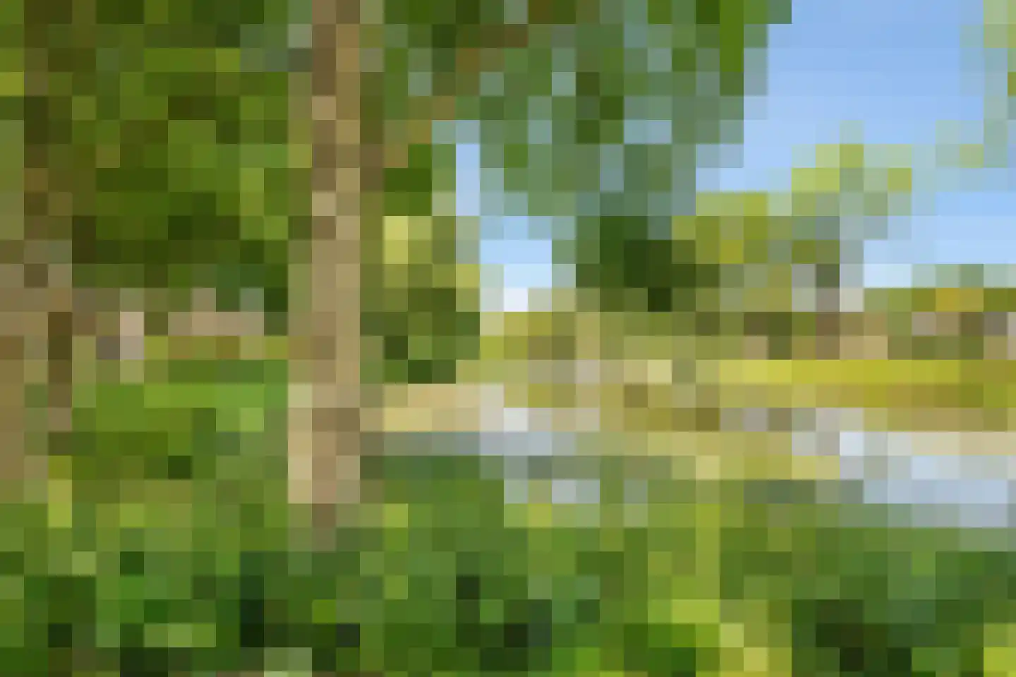 Middelhof 9 Heiloo thumbnail 28