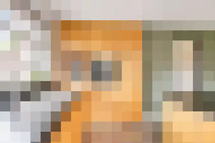 Middelhorst 11 Wehl thumbnail 10