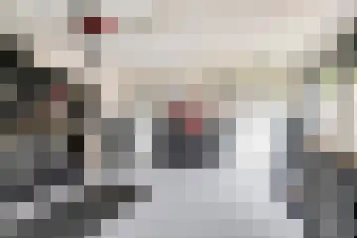 Middelhorst 11 Wehl thumbnail 17