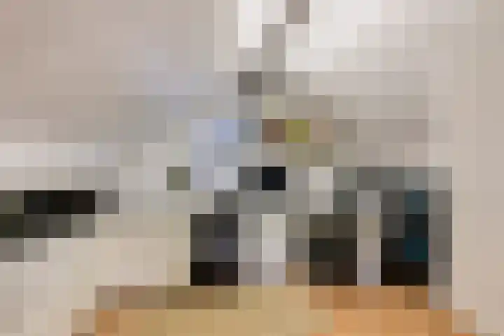 Middelhorst 11 Wehl thumbnail 30