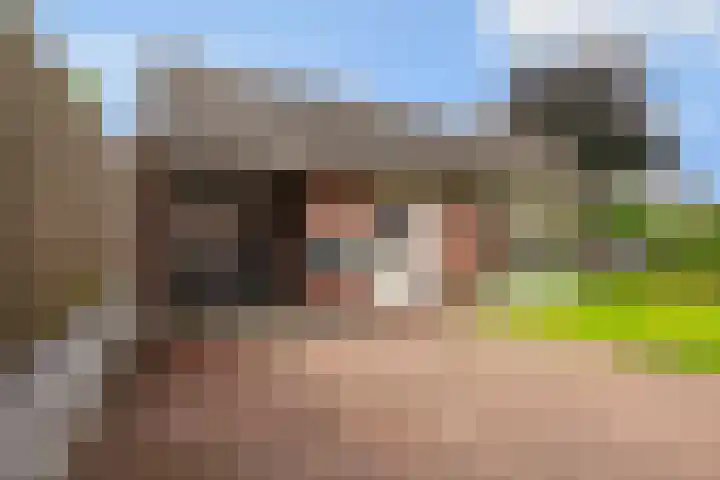 Middelhorst 11 Wehl thumbnail 32