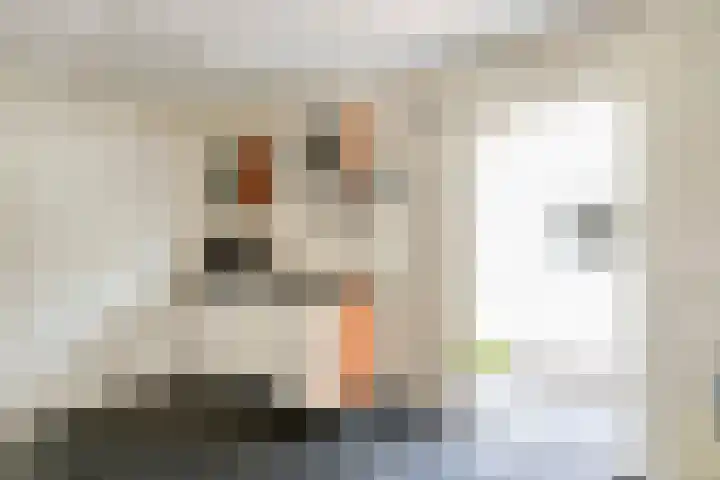 Middelhorst 11 Wehl thumbnail 34