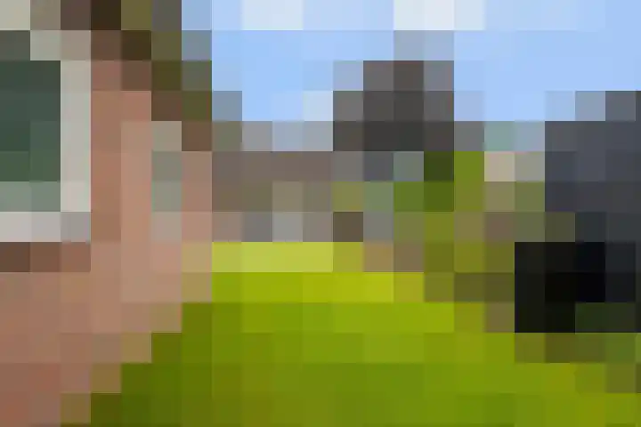 Middelhorst 11 Wehl thumbnail 36