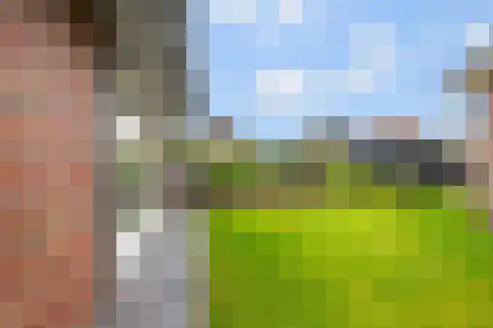 Middelhorst 11 Wehl thumbnail 37