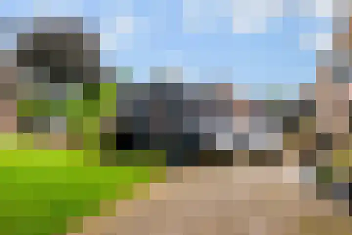 Middelhorst 11 Wehl thumbnail 38