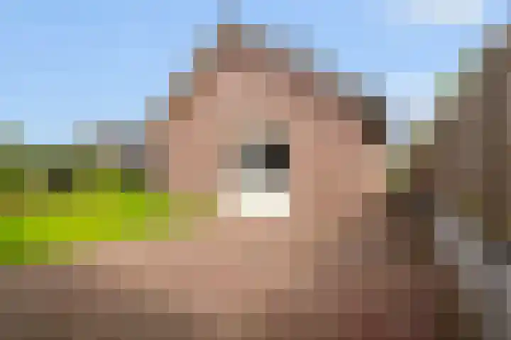 Middelhorst 11 Wehl thumbnail 39