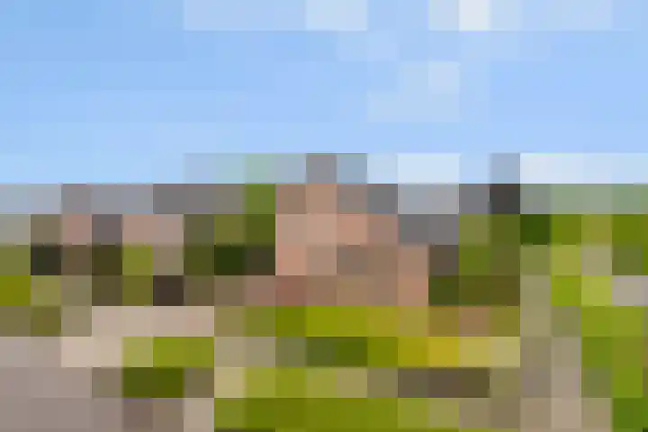 Middelhorst 11 Wehl thumbnail 41