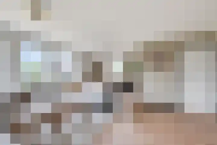 Middelhorst 11 Wehl thumbnail 5