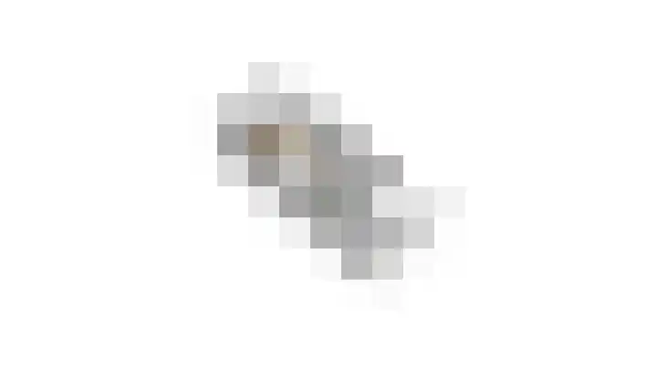 Middelhorst 11 Wehl thumbnail 55