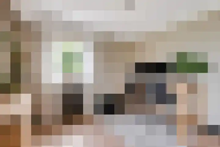 Middelhorst 11 Wehl thumbnail 6