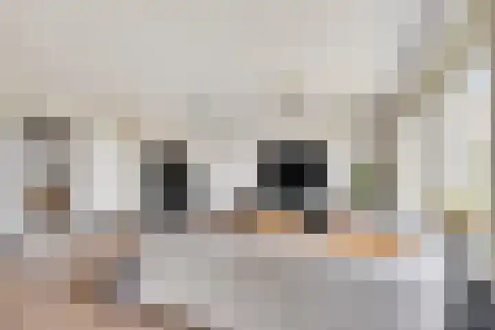 Middelhorst 11 Wehl thumbnail 7