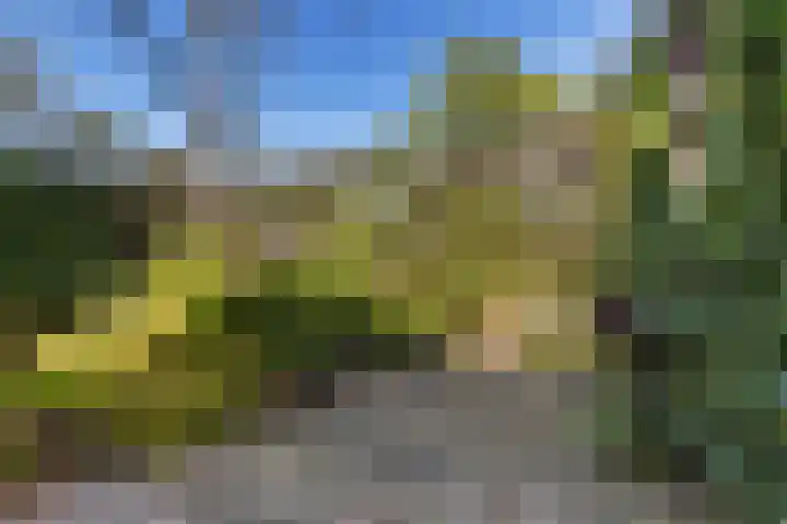 Middelhorsterweg 62 Haren Gn thumbnail 18