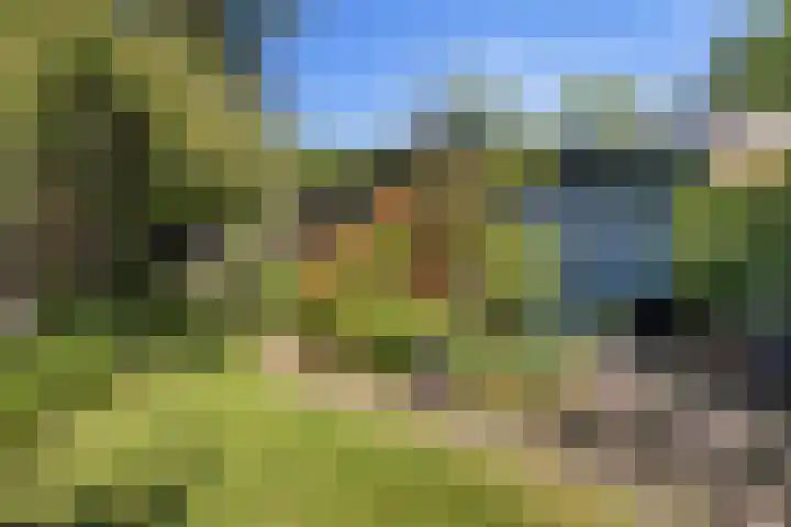 Middelhorsterweg 62 Haren Gn thumbnail 21