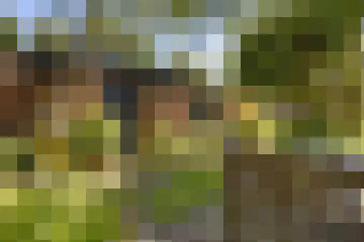 Middelhorsterweg 62 Haren Gn thumbnail 22