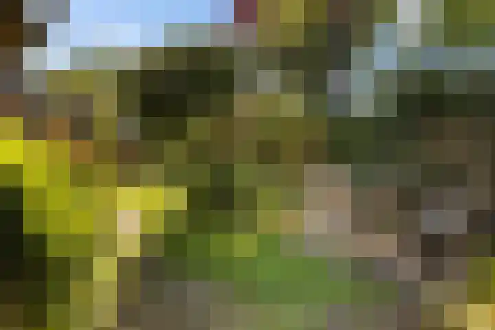 Middelhorsterweg 62 Haren Gn thumbnail 23