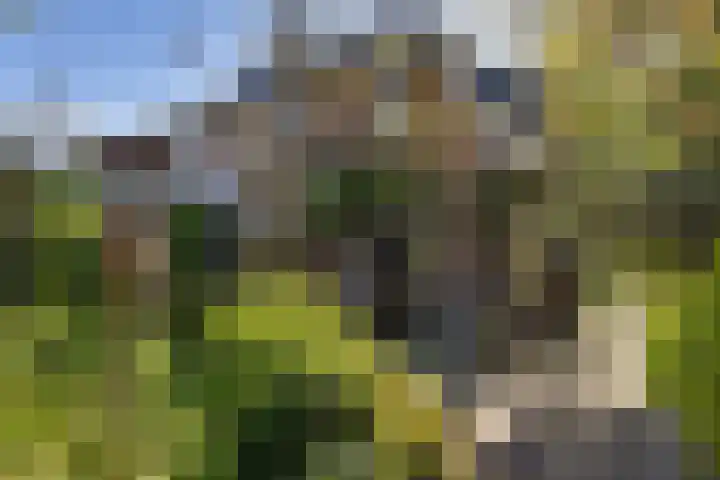 Middelhorsterweg 62 Haren Gn thumbnail 24