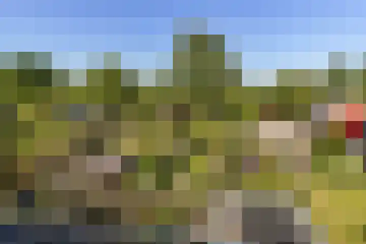Middelhorsterweg 62 Haren Gn thumbnail 38