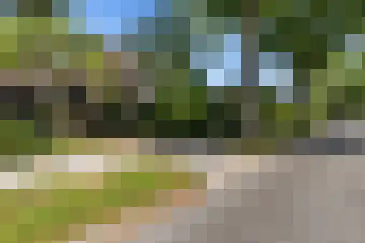 Middelhorsterweg 62 Haren Gn thumbnail 40