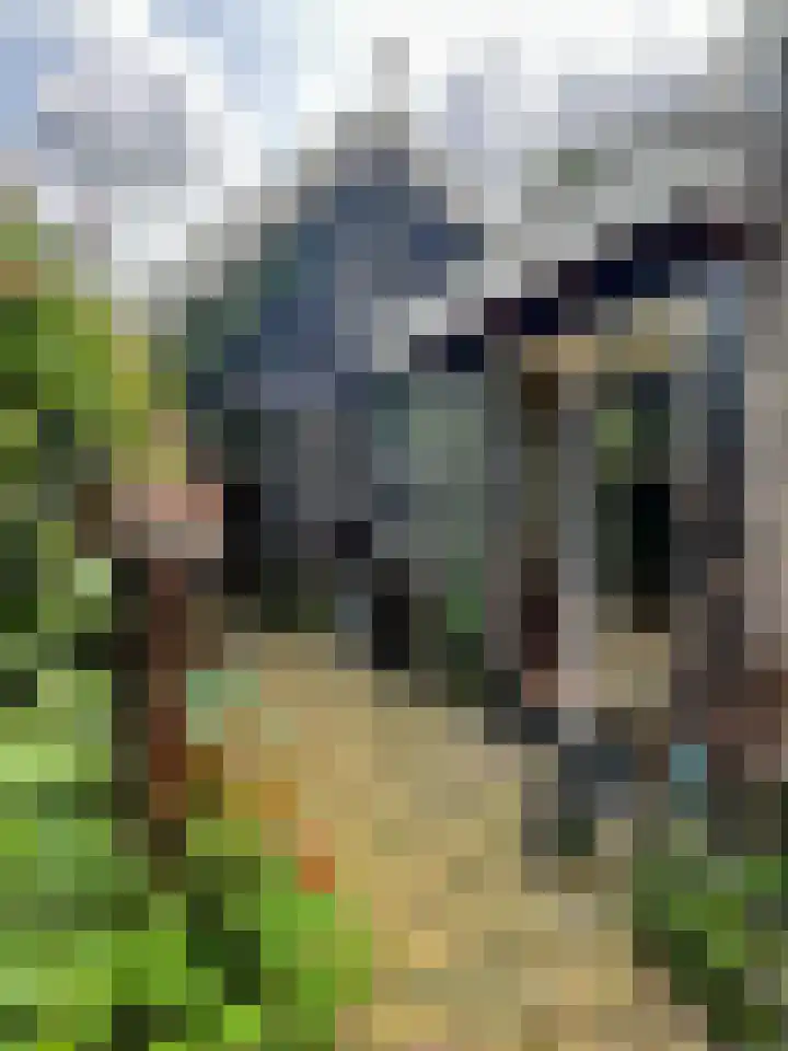 Middelie 108 Middelie thumbnail 4