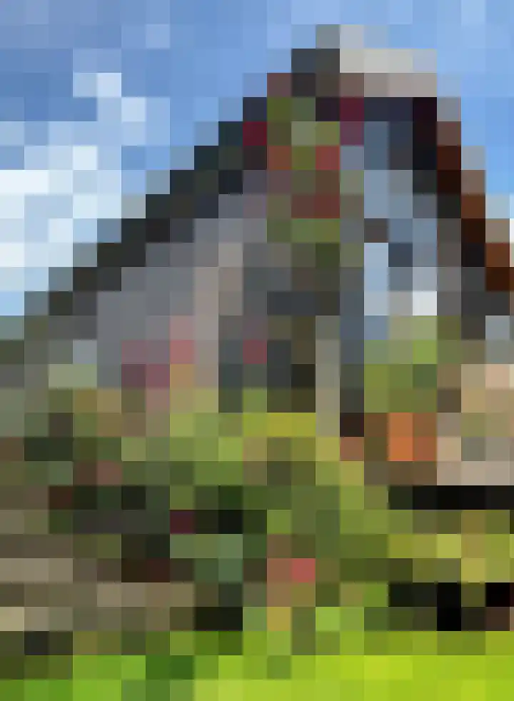 Middelie 108 Middelie thumbnail 42