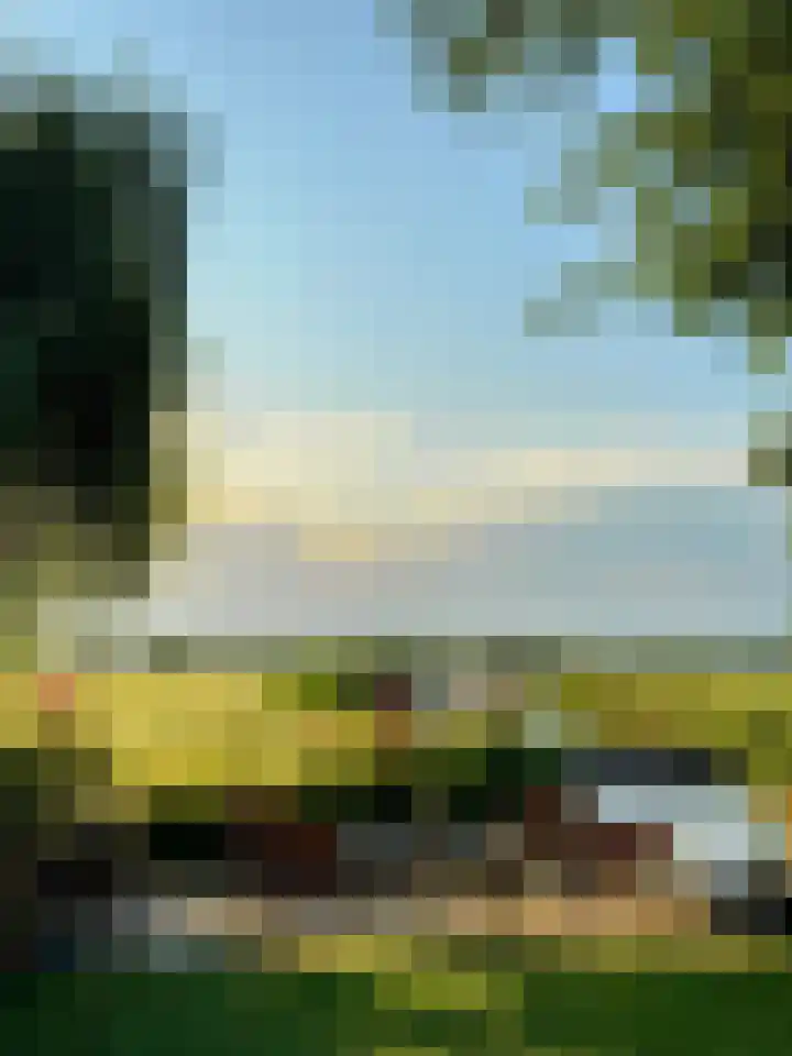 Middelie 108 Middelie thumbnail 44