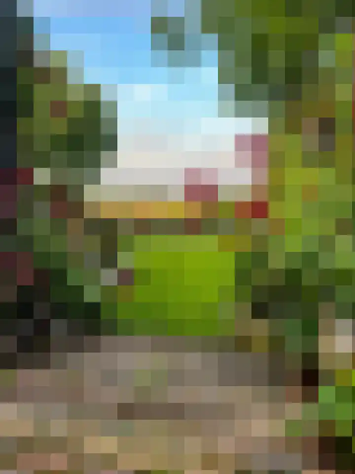 Middelie 108 Middelie thumbnail 49