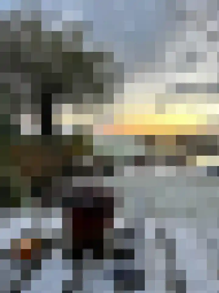 Middelie 108 Middelie thumbnail 52