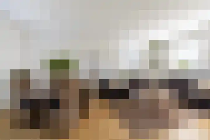 Middelie 118 Middelie thumbnail 10